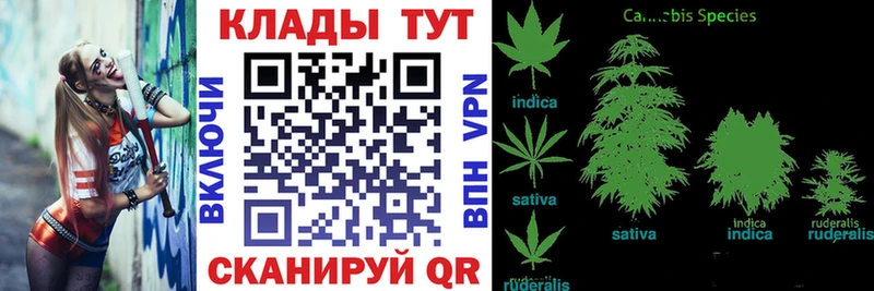 Как найти закладки Томари А ПВП  МЕФ  Кокаин  ГАШ  Марихуана 