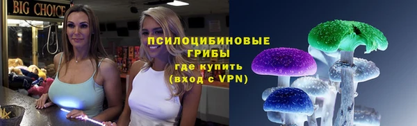 молекула духа Алзамай
