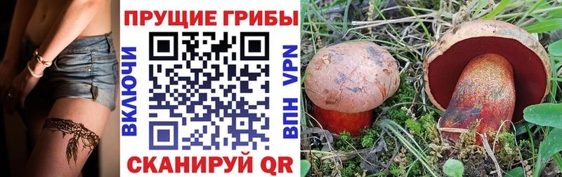 Галлюциногенные грибы Psilocybe  kraken как зайти  Томари 